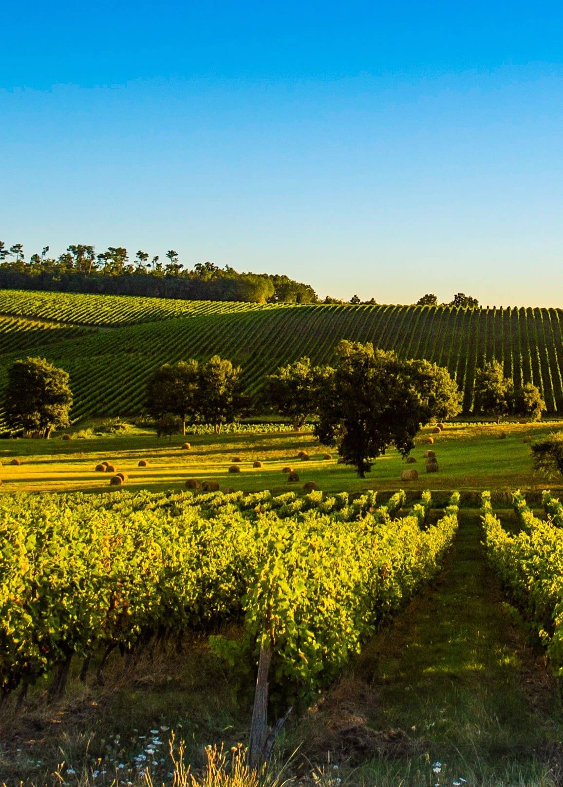 Route Royale Frankrijk 2026 Roadtrip